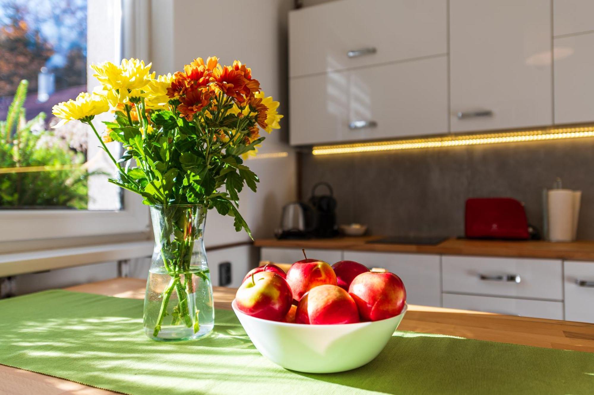 Ubytování na samotě - Apartmán U Tesařů Komarice Exterior foto